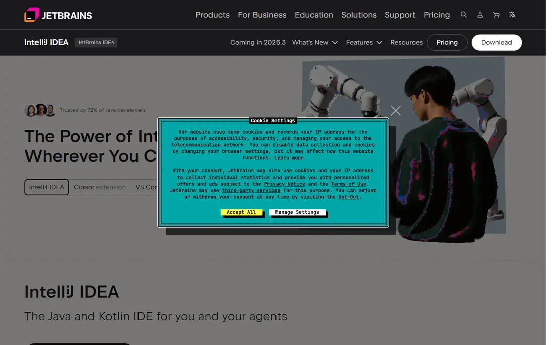 IntelliJ IDEA website