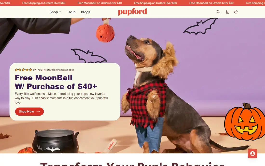 Pupford website