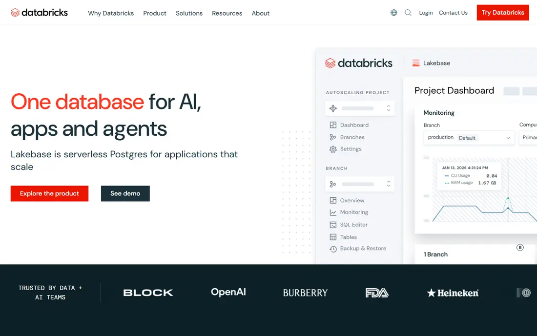 Databricks website