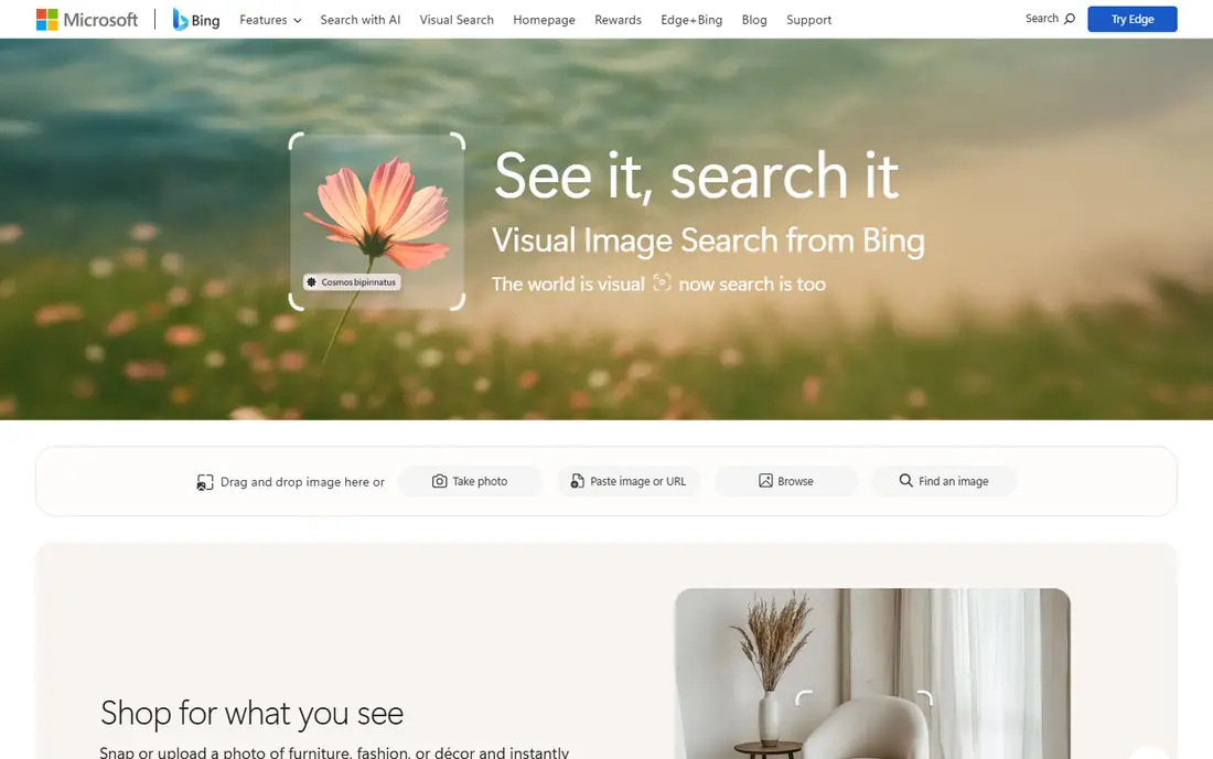 Bing Visual Search website
