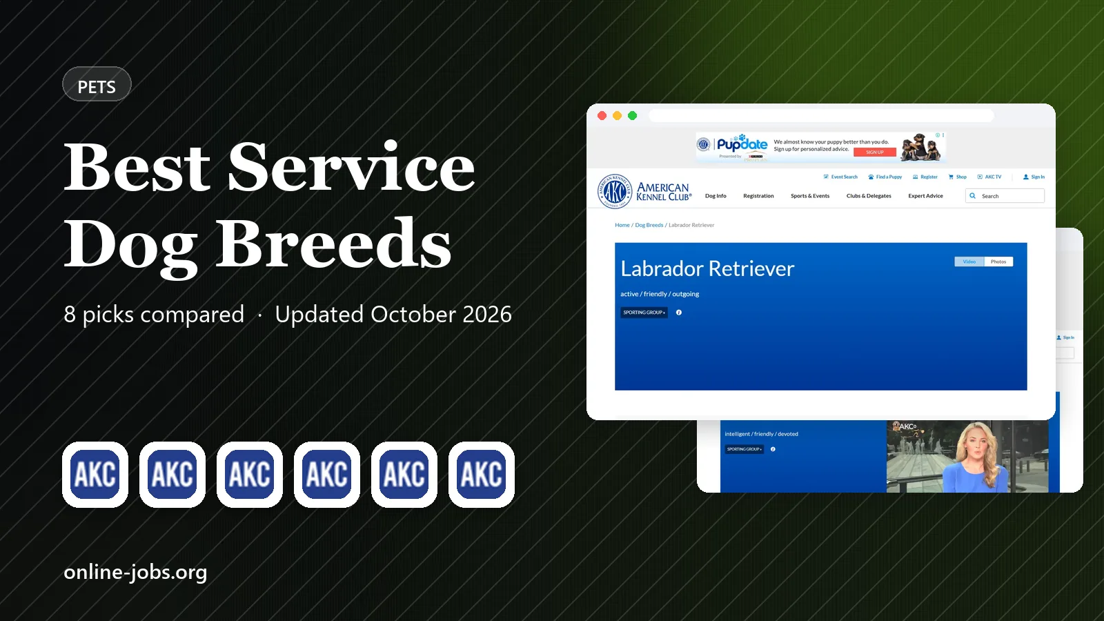 Best Service Dog Breeds in 2026: 8 Breeds Compared
