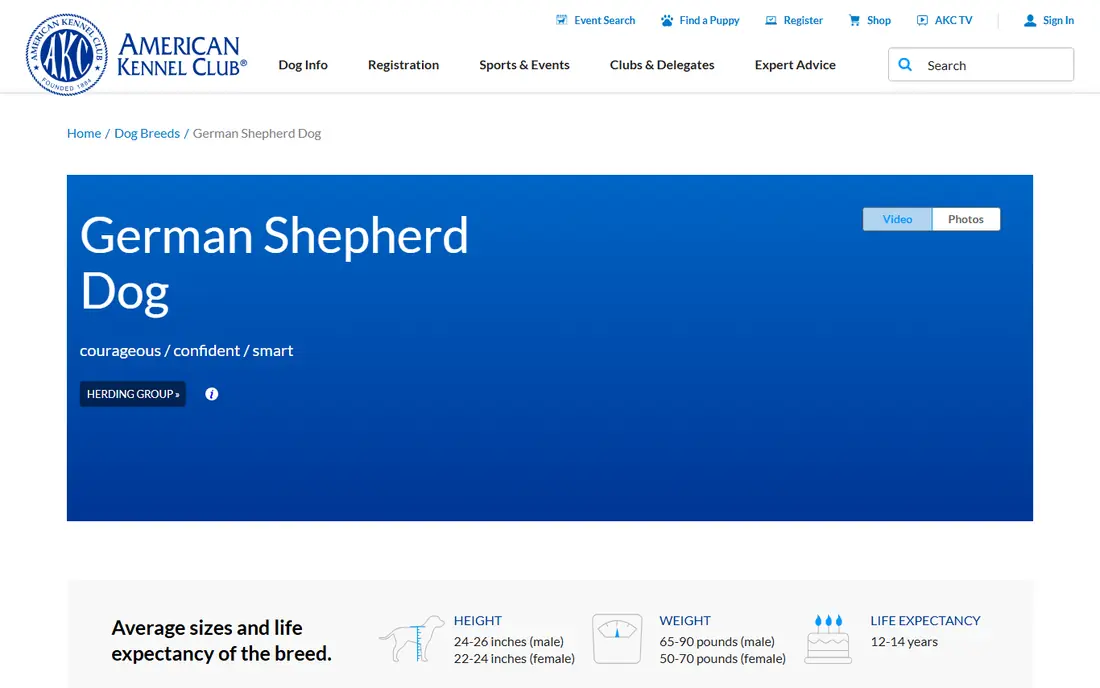 German Shepherd Dog website