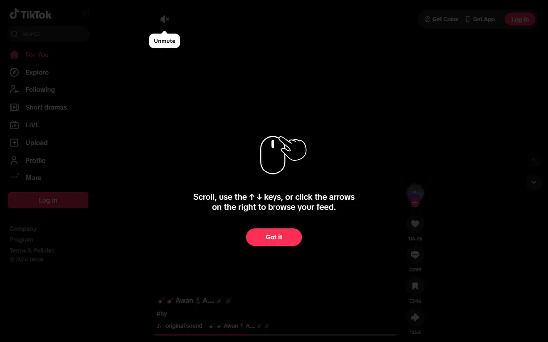 TikTok website