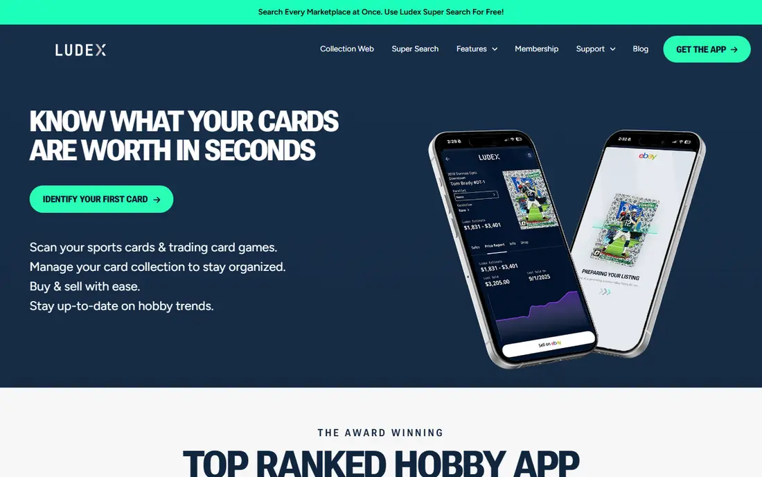 Ludex website