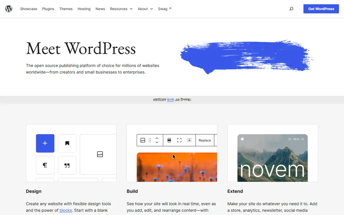 WordPress website