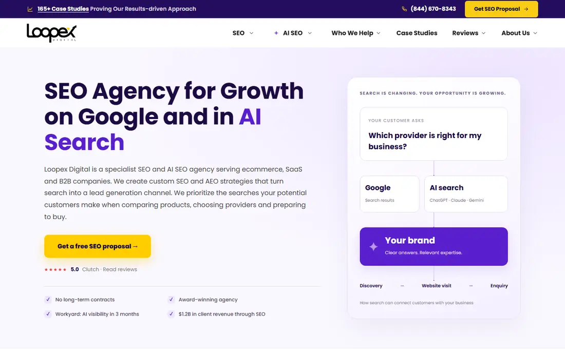 Loopex Digital website