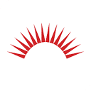 Freedom Debt Relief logo