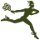FTD logo