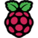 Raspberry Pi Pico W logo